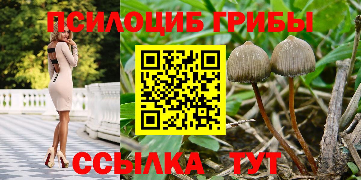 Комсомольск-на-Амуре  Галлюциногенные грибы Magic Shrooms  Вход с VPN 