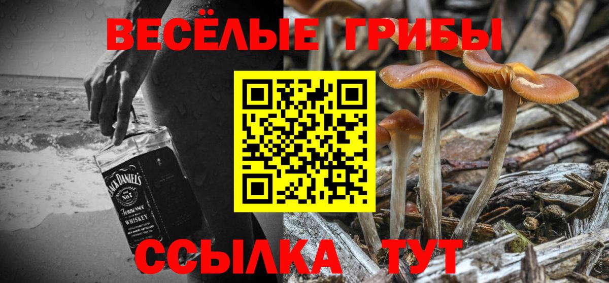 Псилоцибиновые грибы MAGIC MUSHROOMS Комсомольск-на-Амуре